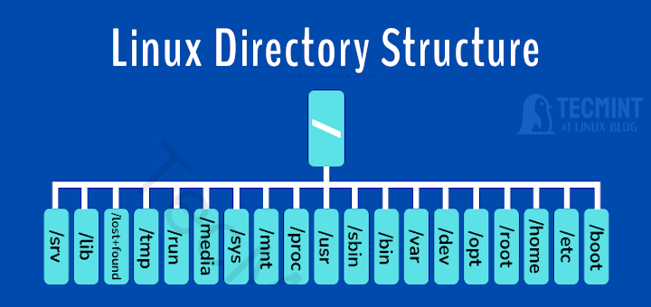 Linux目录结构和重要文件路径解释了 - Cdgzu.com