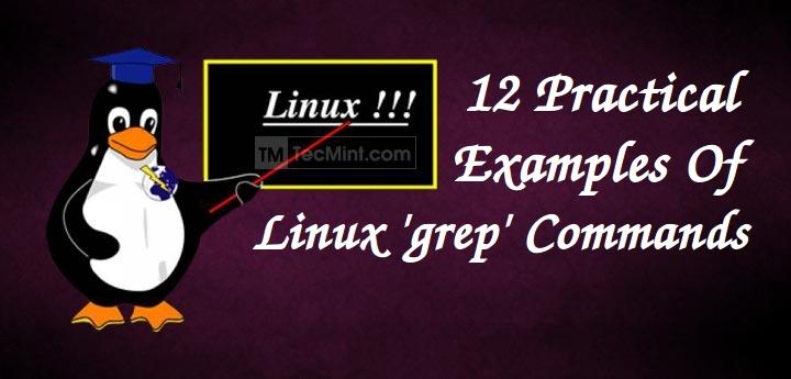 Linux Grep 命令的 12 个实用示例