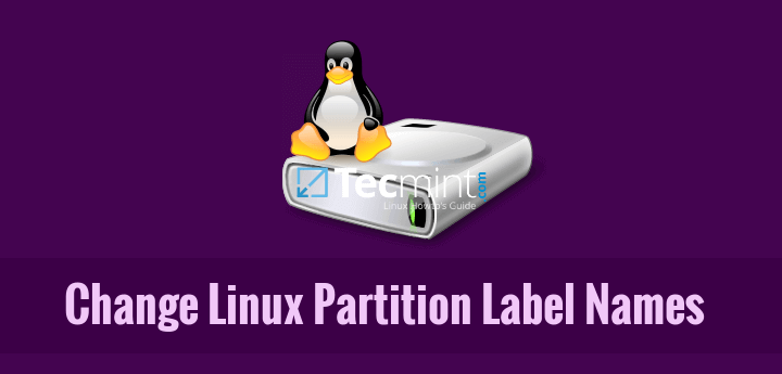 如何更改ext4 / ext3 / ext2上的Linux分区标签名称和交换