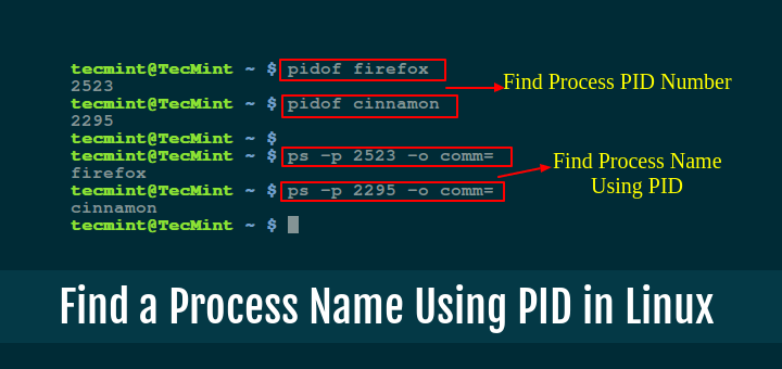如何在 Linux 中使用 PID 号查找进程名称