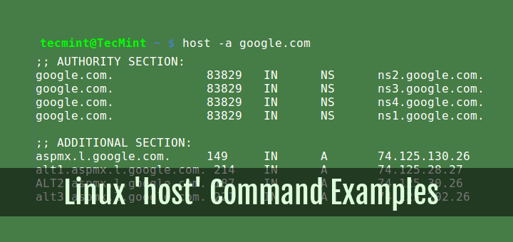 用于查询 DNS 查找的有用“host”命令示例
