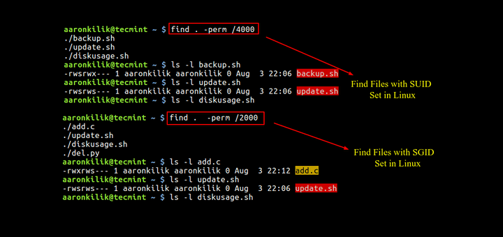 如何在 Linux 中查找具有 SUID 和 SGID 权限的文件