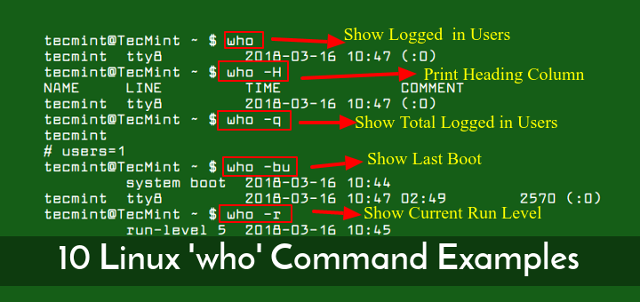 面向 Linux 新手的 10 个“who”命令示例
