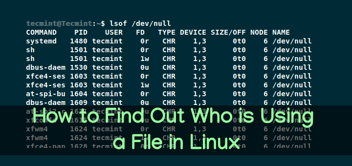如何在 Linux 中找出谁在使用文件