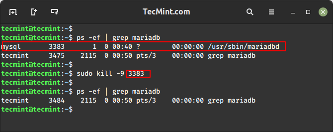 如何从命令行终止 Linux 中的进程 - Cdgzu.com