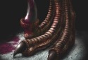 Dino危机和Dino Crisis 2现在在PC上通过GOG 