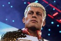 WWE 2K25在法国排行榜上第二名